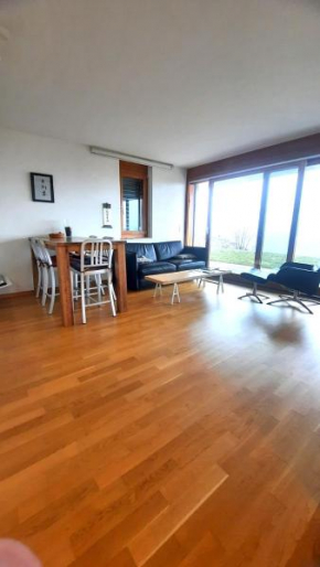 Joli appartement 2 pièces et demi tout confort, Balcon du Ciel NAX Mont-Noble